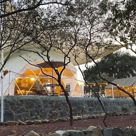 El Gato Glamping Con Vista A Prismas Basalticos Hotell Huasca de Ocampo Exteriör bild