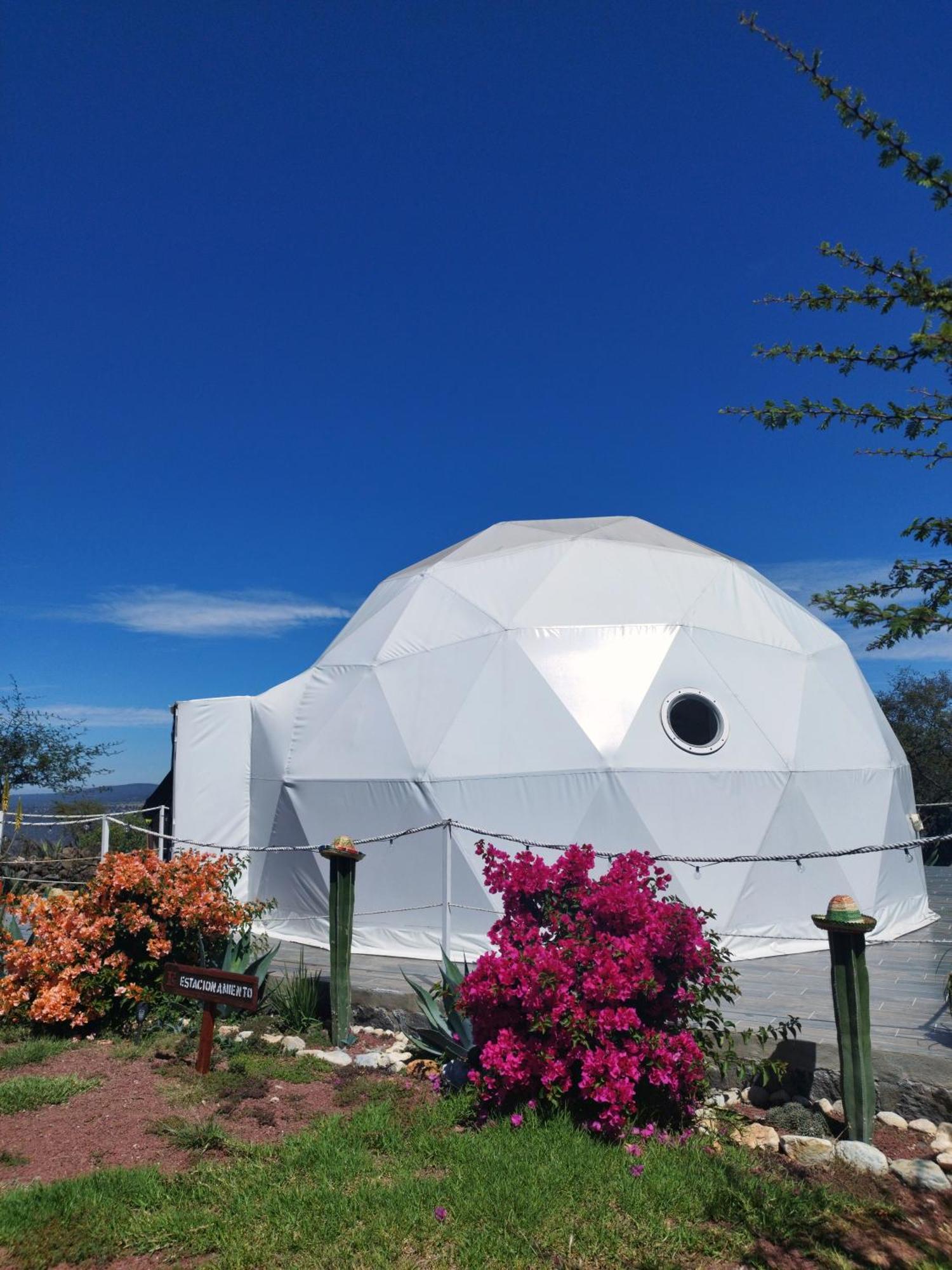 El Gato Glamping Con Vista A Prismas Basalticos Hotell Huasca de Ocampo Exteriör bild