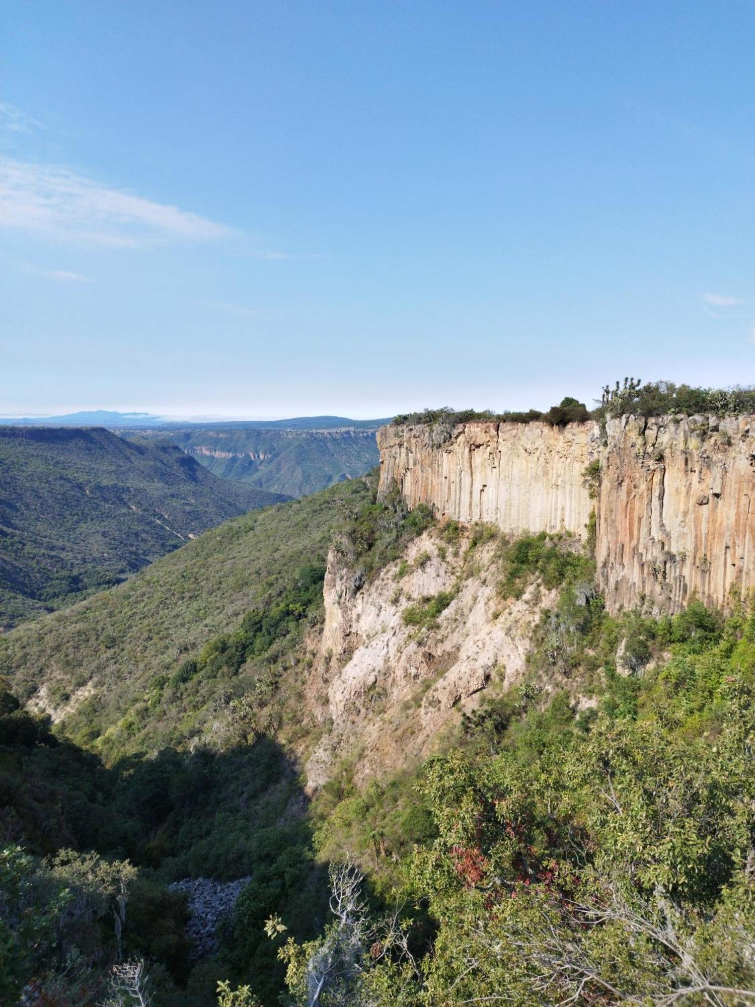 El Gato Glamping Con Vista A Prismas Basalticos Hotell Huasca de Ocampo Exteriör bild