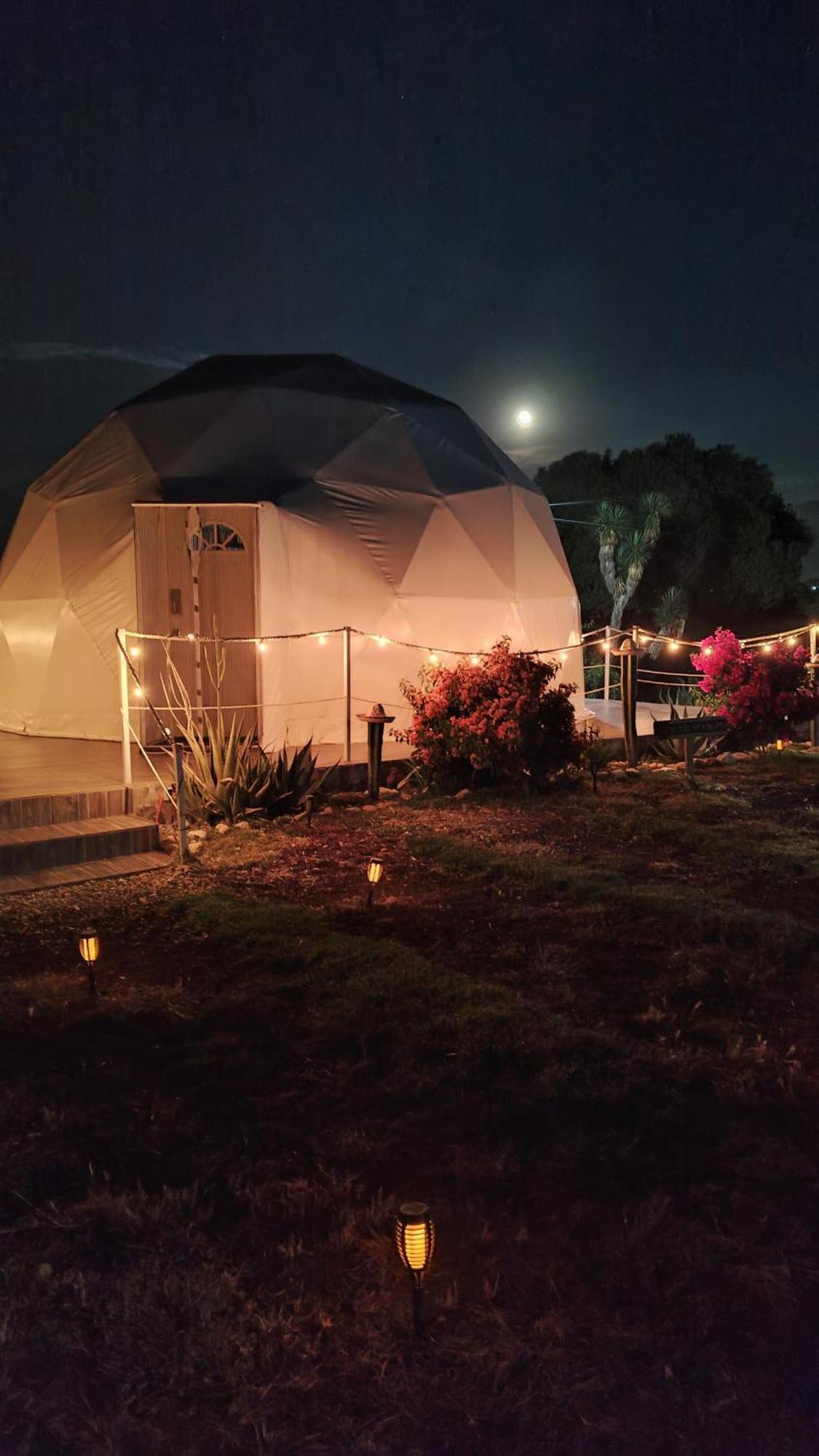 El Gato Glamping Con Vista A Prismas Basalticos Hotell Huasca de Ocampo Exteriör bild