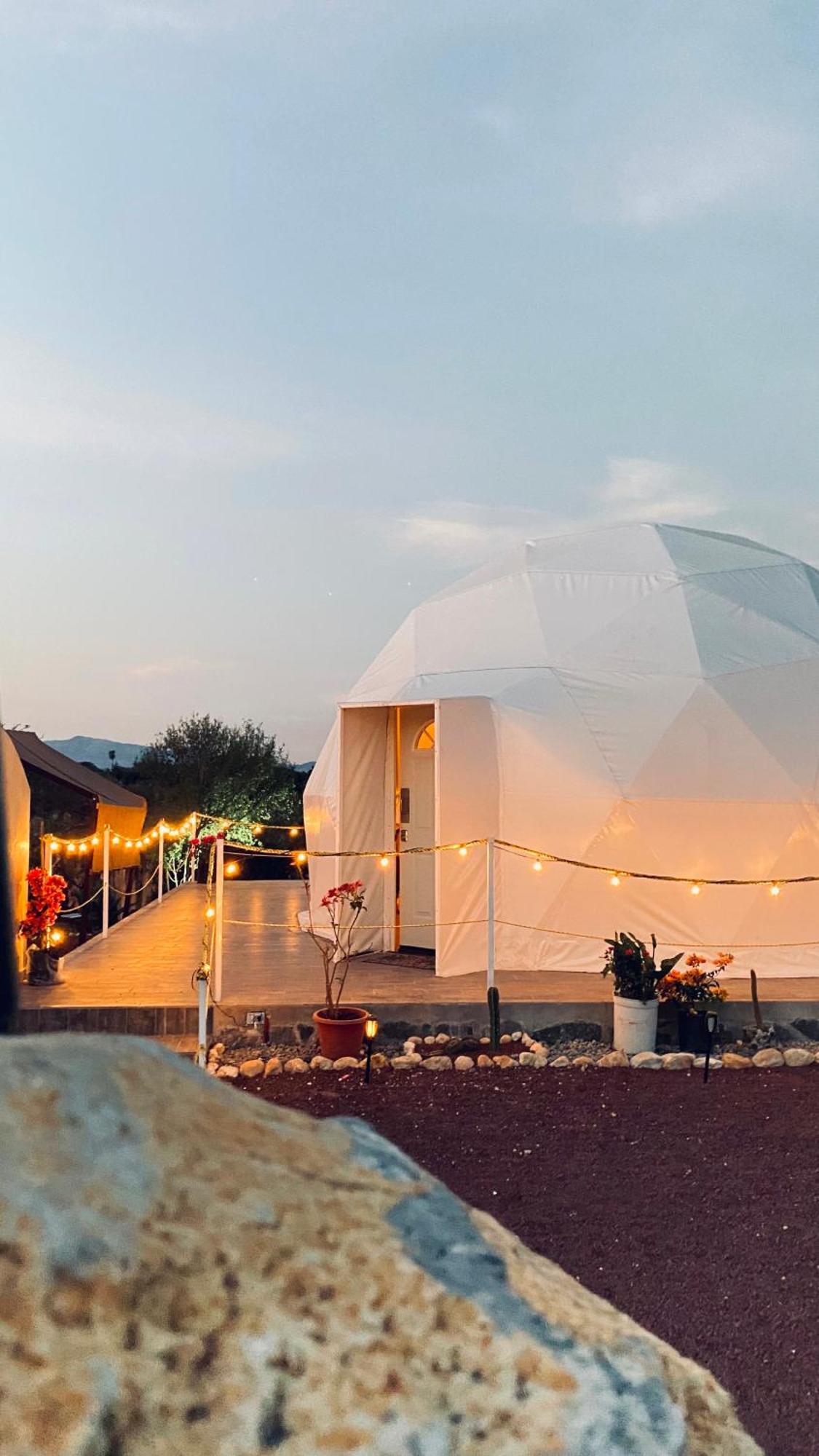 El Gato Glamping Con Vista A Prismas Basalticos Hotell Huasca de Ocampo Exteriör bild