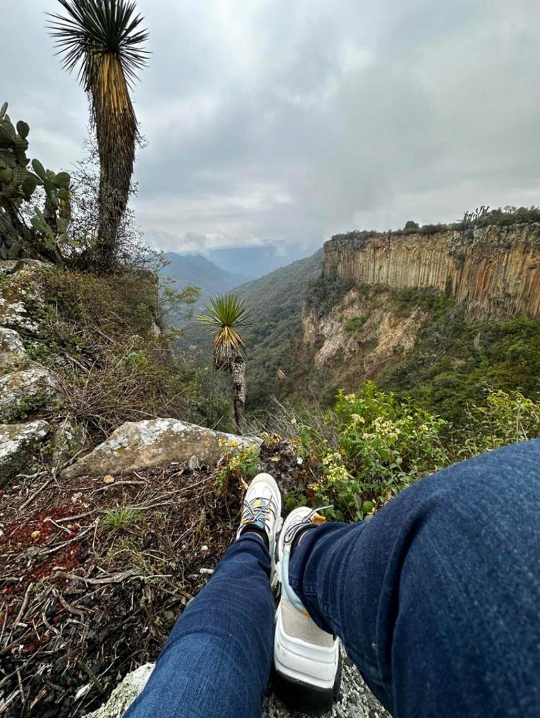 El Gato Glamping Con Vista A Prismas Basalticos Hotell Huasca de Ocampo Exteriör bild