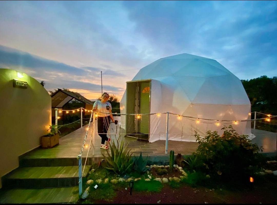 El Gato Glamping Con Vista A Prismas Basalticos Hotell Huasca de Ocampo Exteriör bild
