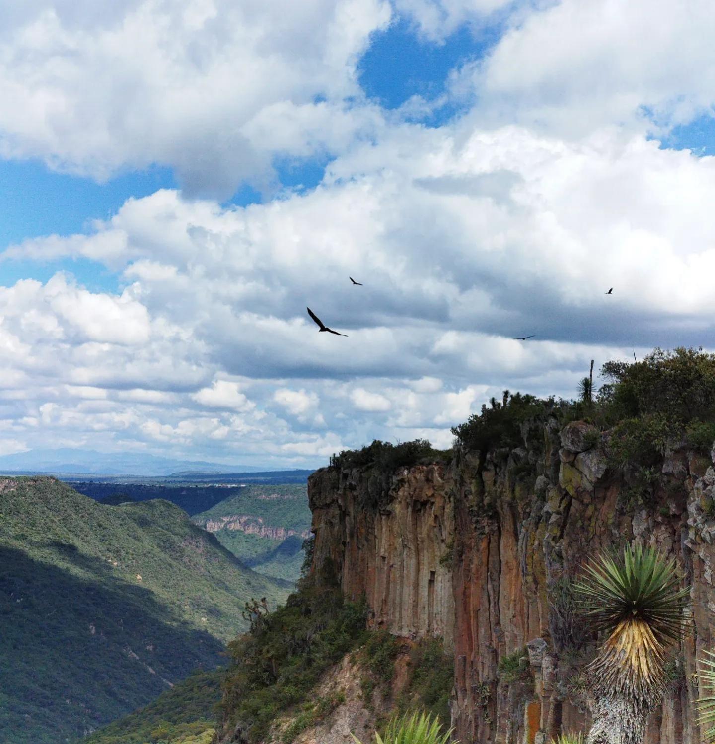 El Gato Glamping Con Vista A Prismas Basalticos Hotell Huasca de Ocampo Exteriör bild