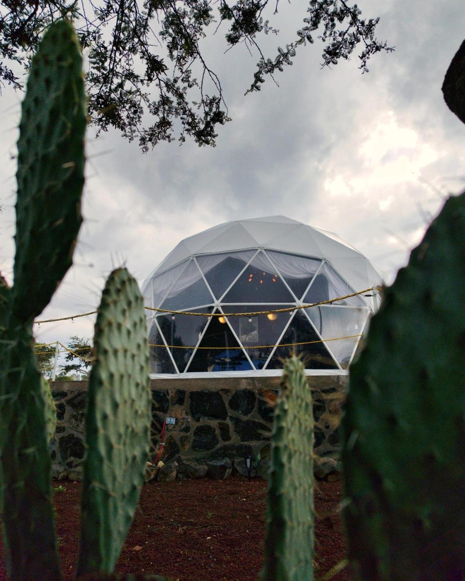 El Gato Glamping Con Vista A Prismas Basalticos Hotell Huasca de Ocampo Exteriör bild
